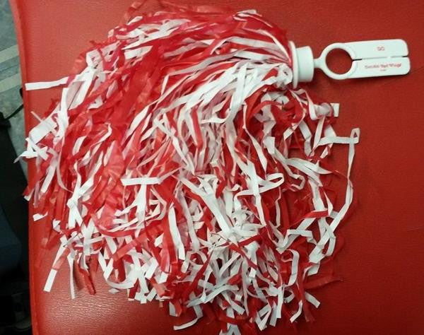 NHL Detroit Red Wings Licensed Rooter Pom